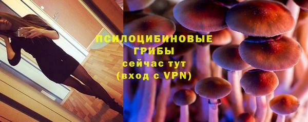 марки lsd Мегион