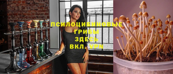 mdpv Медногорск