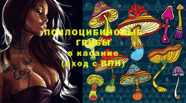 mdpv Медногорск