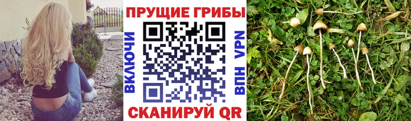 Псилоцибиновые грибы мухоморы  Холм 